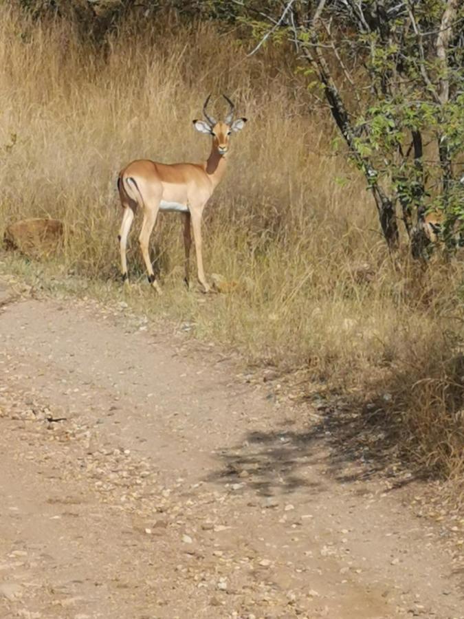 Mali Mali Safari Lodge Hoedspruit Dış mekan fotoğraf